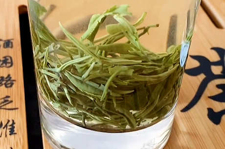 绿茶和铁观音有什么区别？