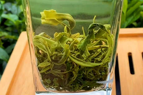 陈茶和新茶的区别