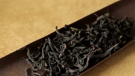 什么是半发酵茶？
