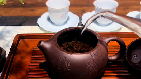 什么品种的全发酵茶？