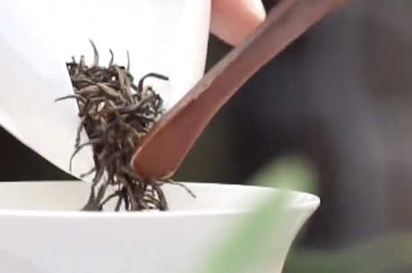 什么品种的全发酵茶？