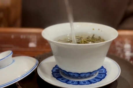 大叶茶有哪些品种？