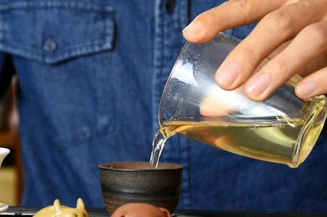 乔木茶是什么意思？
