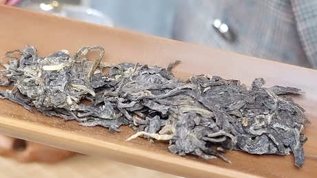 大树茶和台地茶的区别
