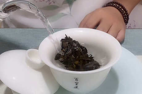 台地茶和大树茶有什么区别？
