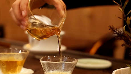 云南普洱茶六大山的特点