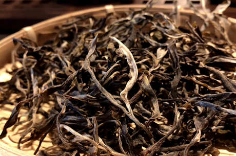 云南普洱茶六大山的特点