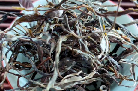 云南普洱茶六大山的特点