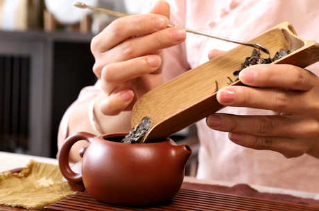 云南普洱茶六大山的特点