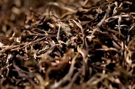 云南普洱茶六大山的特点
