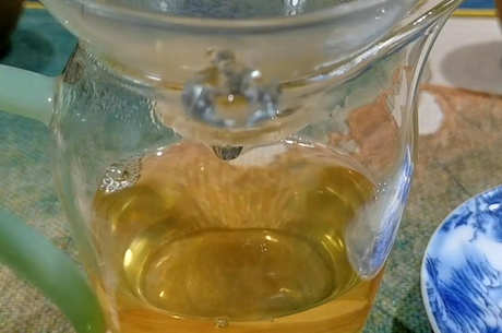 什么叫大树茶？