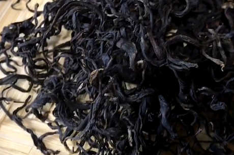 什么是大树茶？