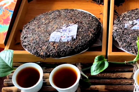 大树茶和古树茶有什么区别？