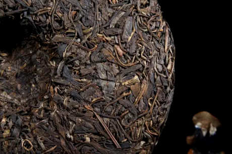 易武正山是生茶还是熟茶？
