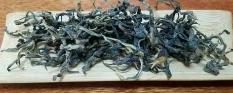 倚邦古树茶的口感特点