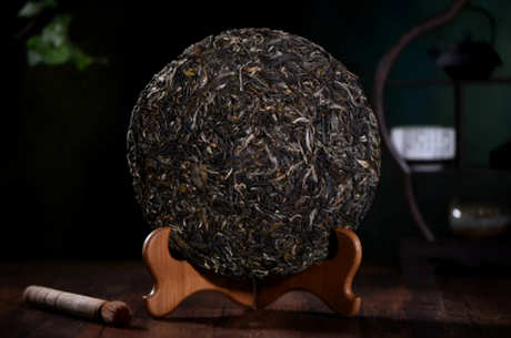大户比赛是生茶还是熟茶