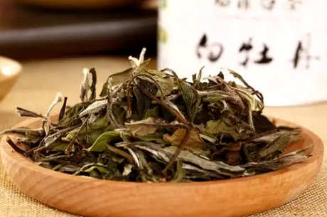 福鼎白茶最好存放几年