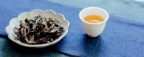 白茶最多能储存多久？