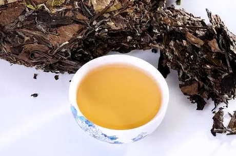 白茶最多能储存多久？