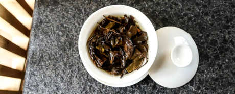 杨林沟白茶是什么茶？