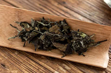 杨林沟白茶是什么茶？