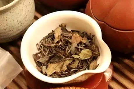 杨林沟白茶是什么茶？
