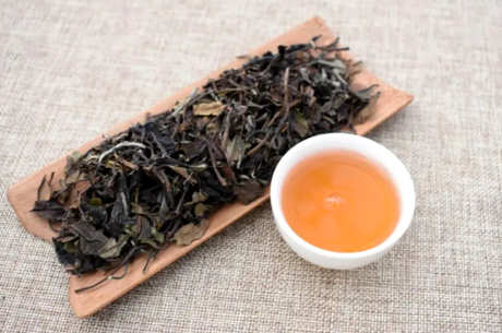 放几年老白茶比较好