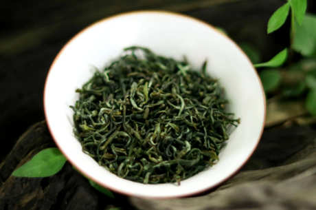 看山茶叶在哪里