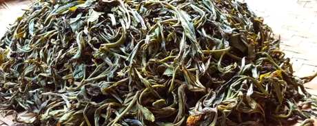 普洱属于六大茶中哪一种？