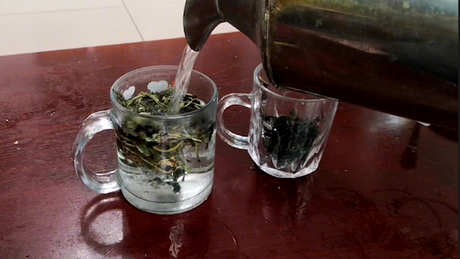 春天喝什么茶？