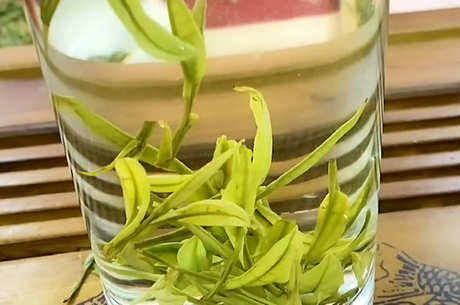 春天喝什么茶好？