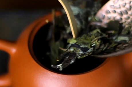 什么茶适合春天喝？