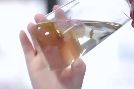 什么茶适合春天喝？