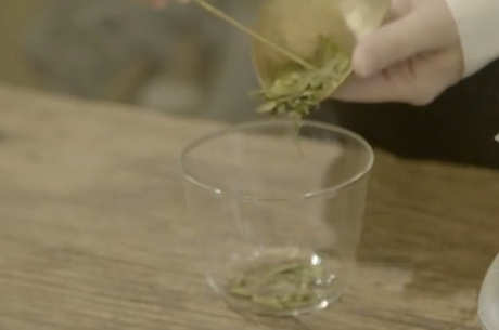 春夏喝什么茶好？