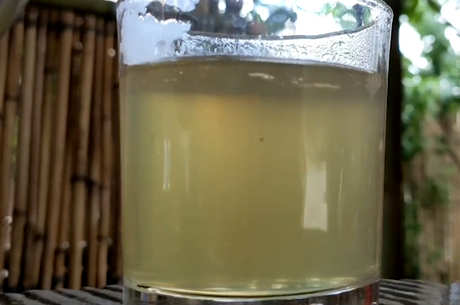 什么茶适合春天喝？