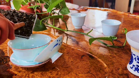 绿茶是乌龙茶吗？