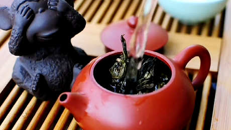 泡普洱茶的方法
