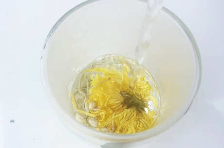 什么样的菊花泡茶最好？