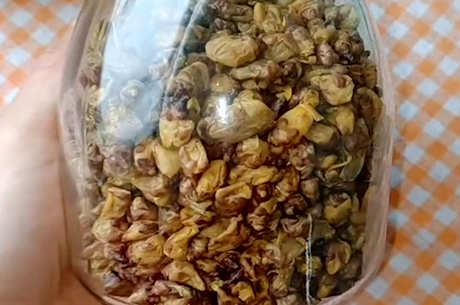 春夏喝什么茶好？
