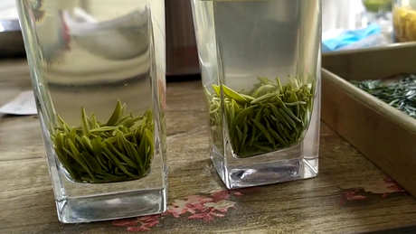 什么是绿茶？