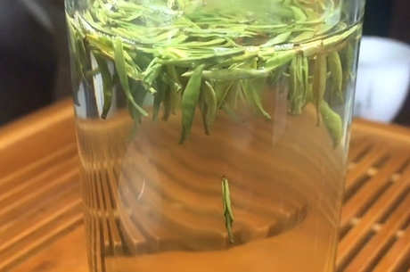 什么茶属于绿茶？