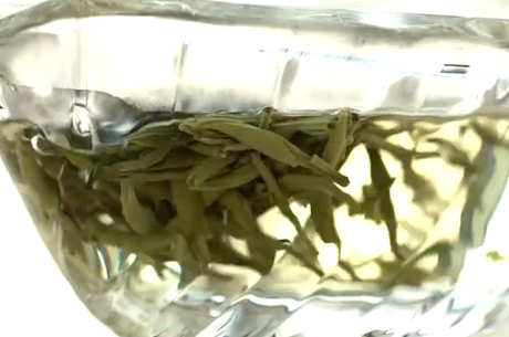 什么茶属于绿茶？