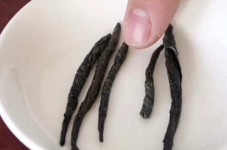 什么是苦丁茶？