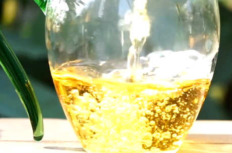 杭州盛产什么茶？