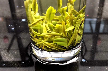 杭州盛产什么茶？