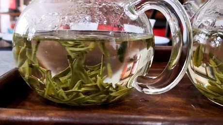 什么季节最适合喝绿茶？