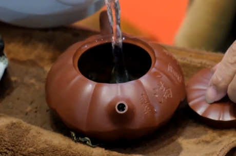 怎样冲泡白茶？