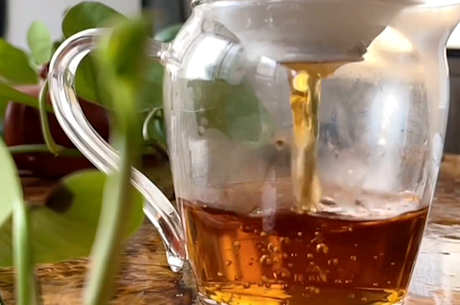 白茶存放多久最好？