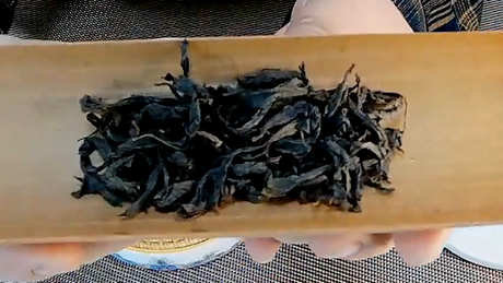 茶大红袍属于什么茶？