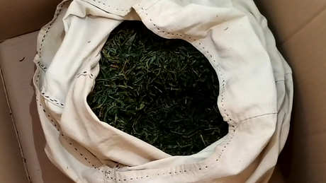 什么茶最好喝？茶叶有哪些品种？